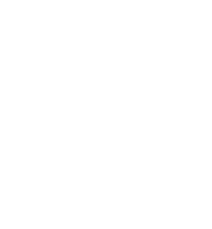 AustCham HK logo